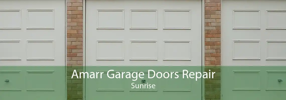 Amarr Garage Doors Repair Sunrise