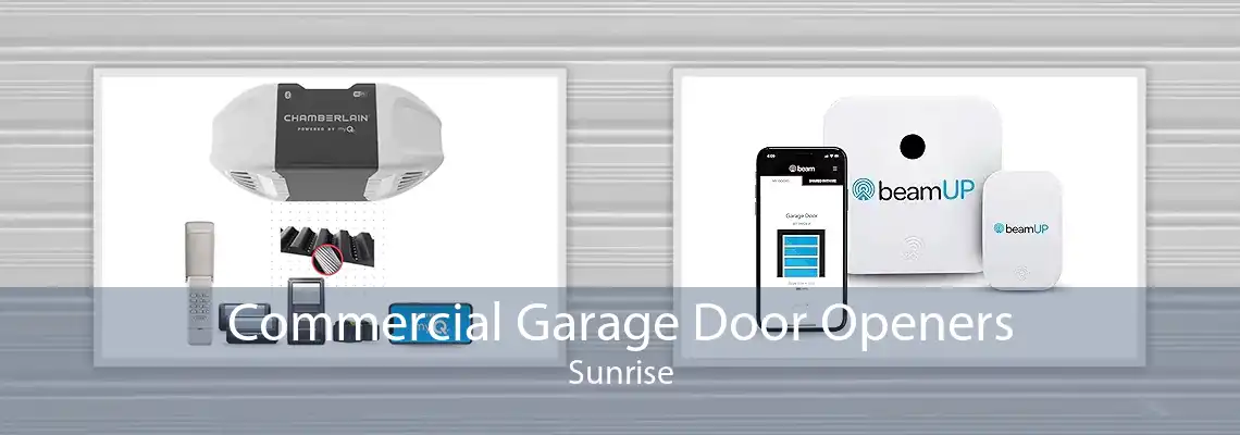 Commercial Garage Door Openers Sunrise