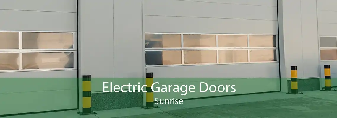 Electric Garage Doors Sunrise