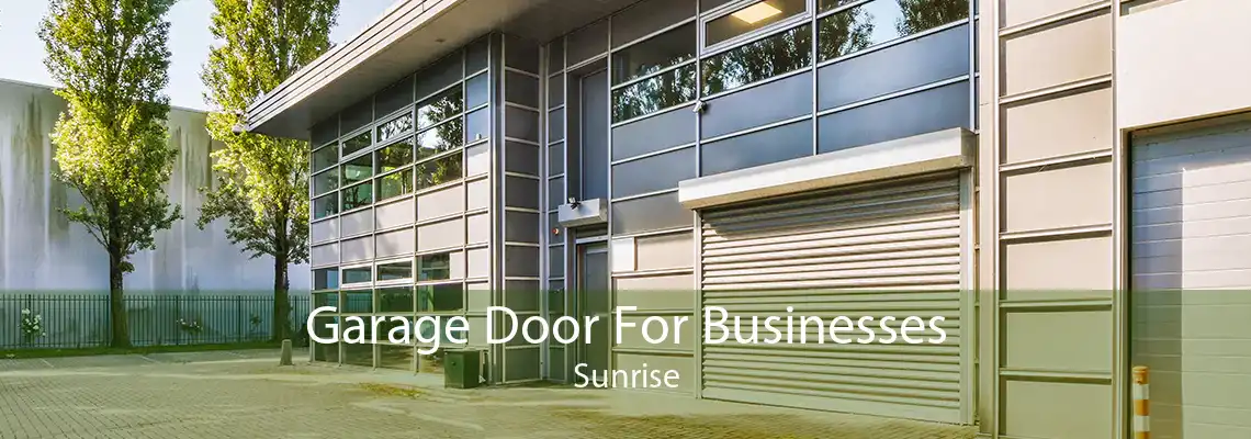 Garage Door For Businesses Sunrise