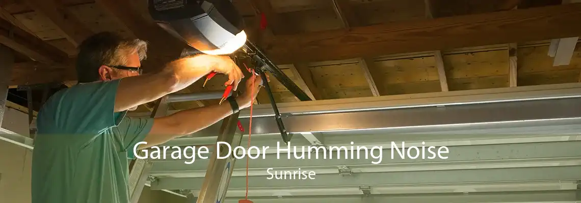 Garage Door Humming Noise Sunrise