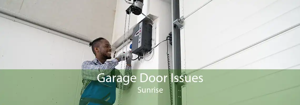 Garage Door Issues Sunrise