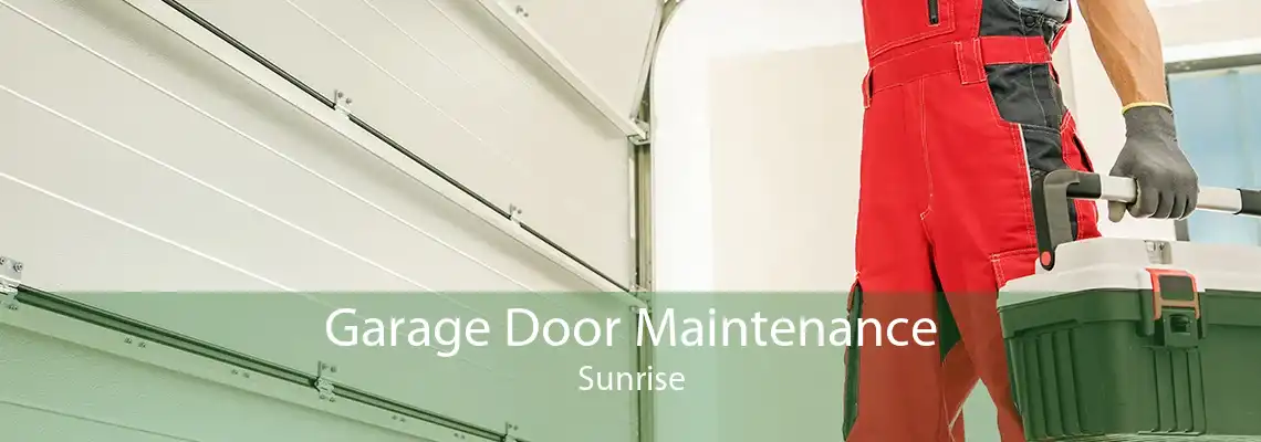 Garage Door Maintenance Sunrise
