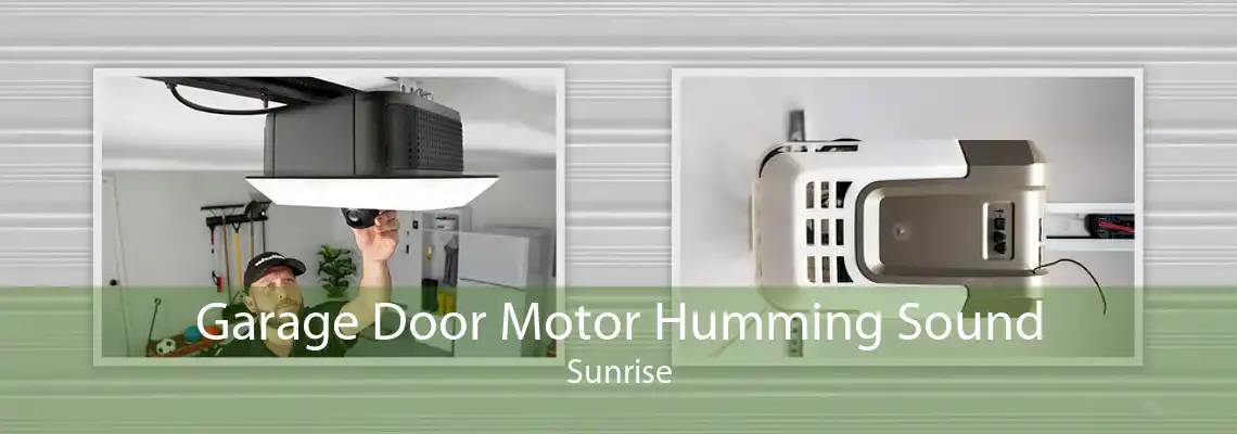 Garage Door Motor Humming Sound Sunrise