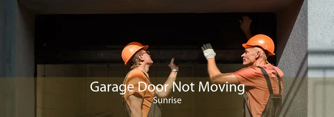 Garage Door Not Moving Sunrise