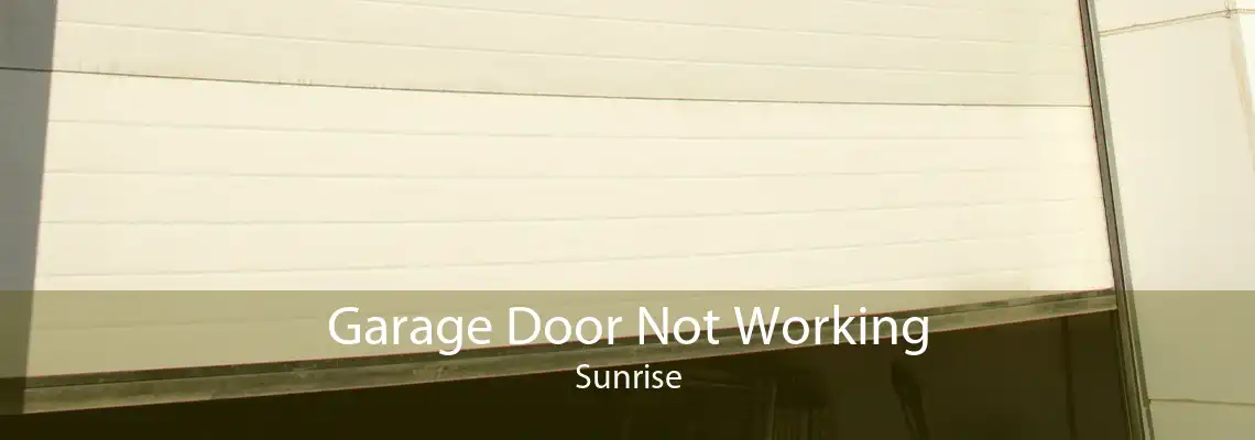 Garage Door Not Working Sunrise
