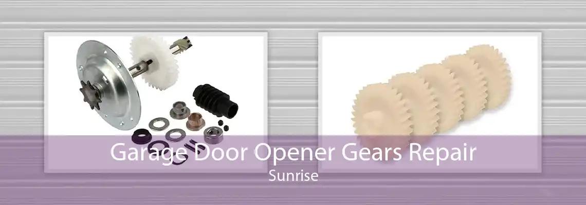 Garage Door Opener Gears Repair Sunrise