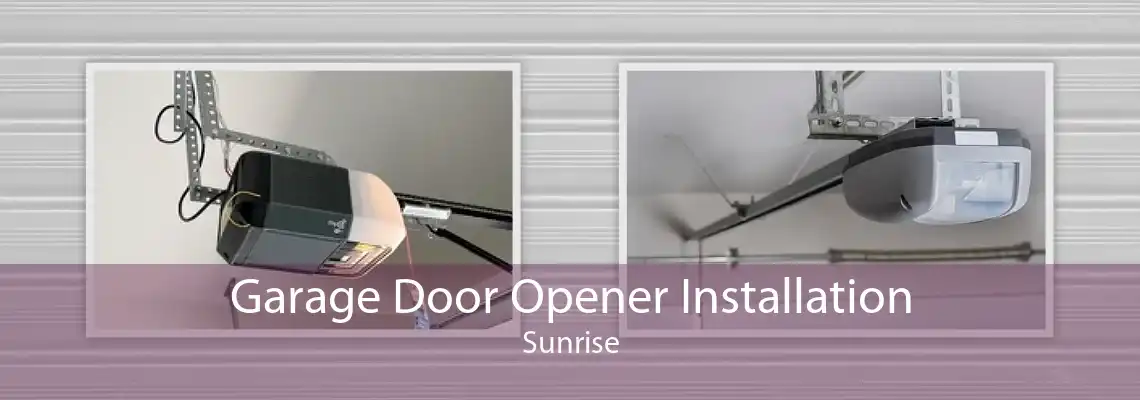 Garage Door Opener Installation Sunrise