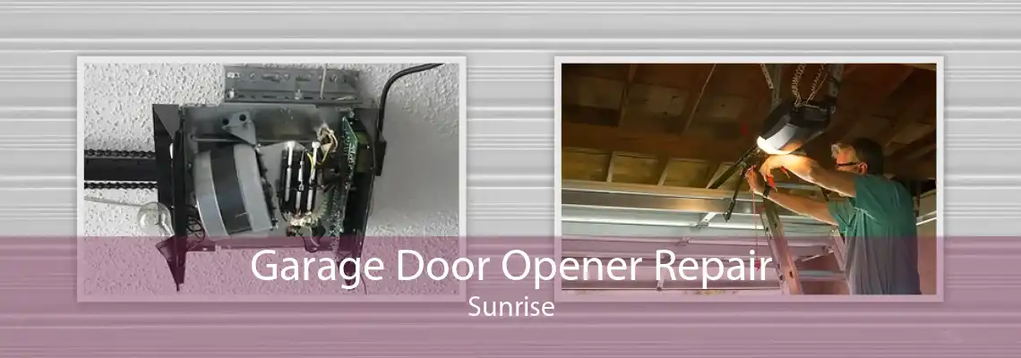 Garage Door Opener Repair Sunrise