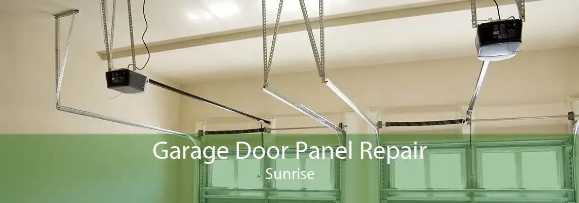 Garage Door Panel Repair Sunrise