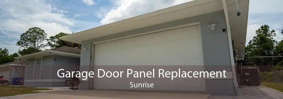 Garage Door Panel Replacement Sunrise