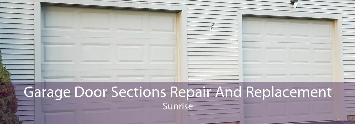 Garage Door Sections Repair And Replacement Sunrise