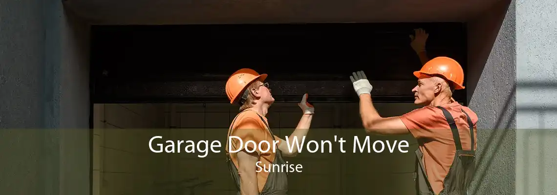 Garage Door Won't Move Sunrise