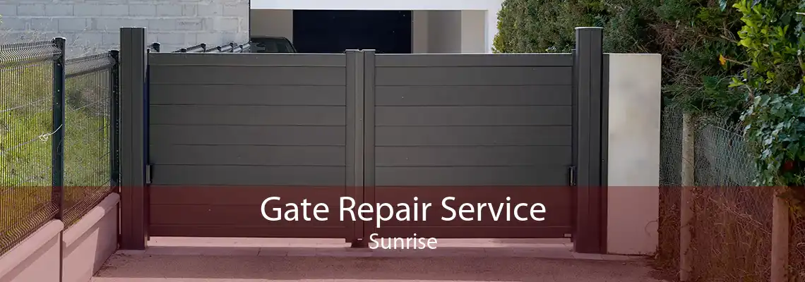 Gate Repair Service Sunrise
