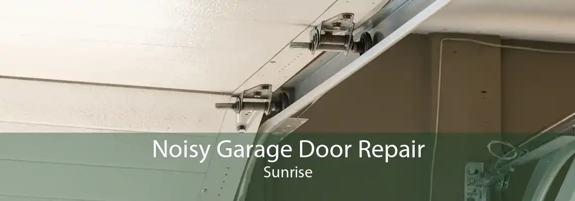 Noisy Garage Door Repair Sunrise