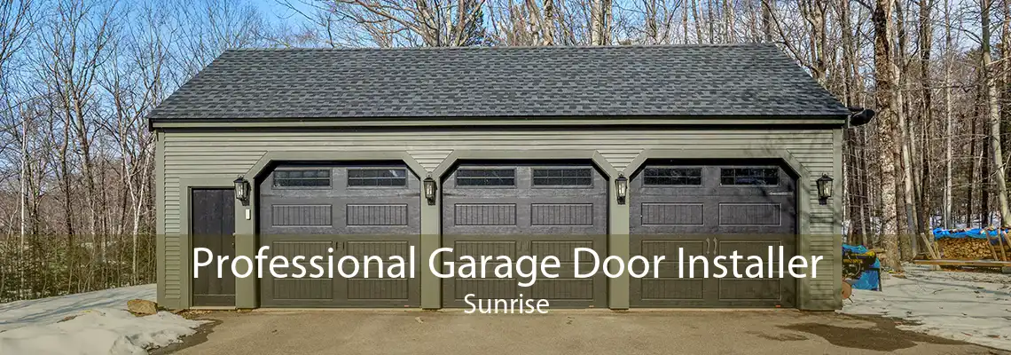 Professional Garage Door Installer Sunrise